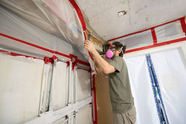 Best Water Damage & Mold Remediation  in Pukalani, HI