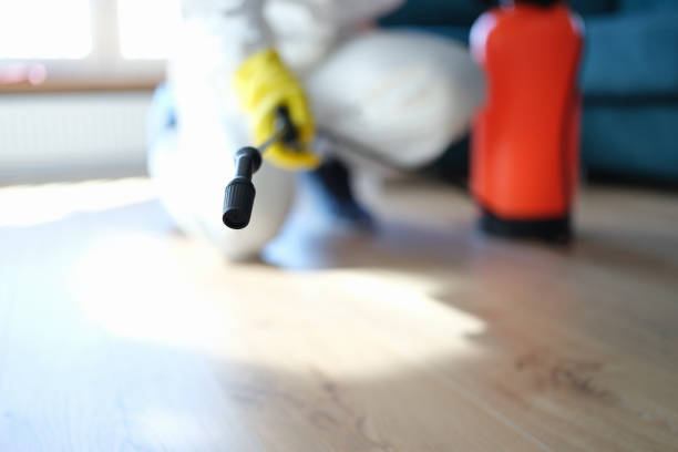 Best Mold Documentation for Insurance Claims  in Pukalani, HI