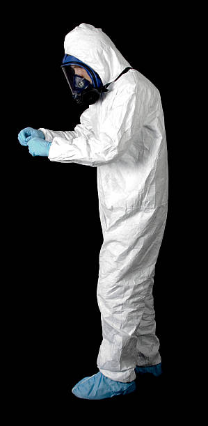Best Attic Mold Removal  in Pukalani, HI