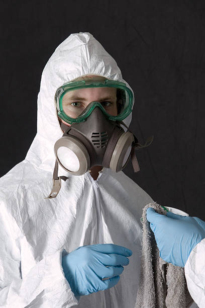 Best Commercial Mold Inspection  in Pukalani, HI